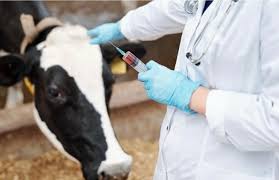 Объявления