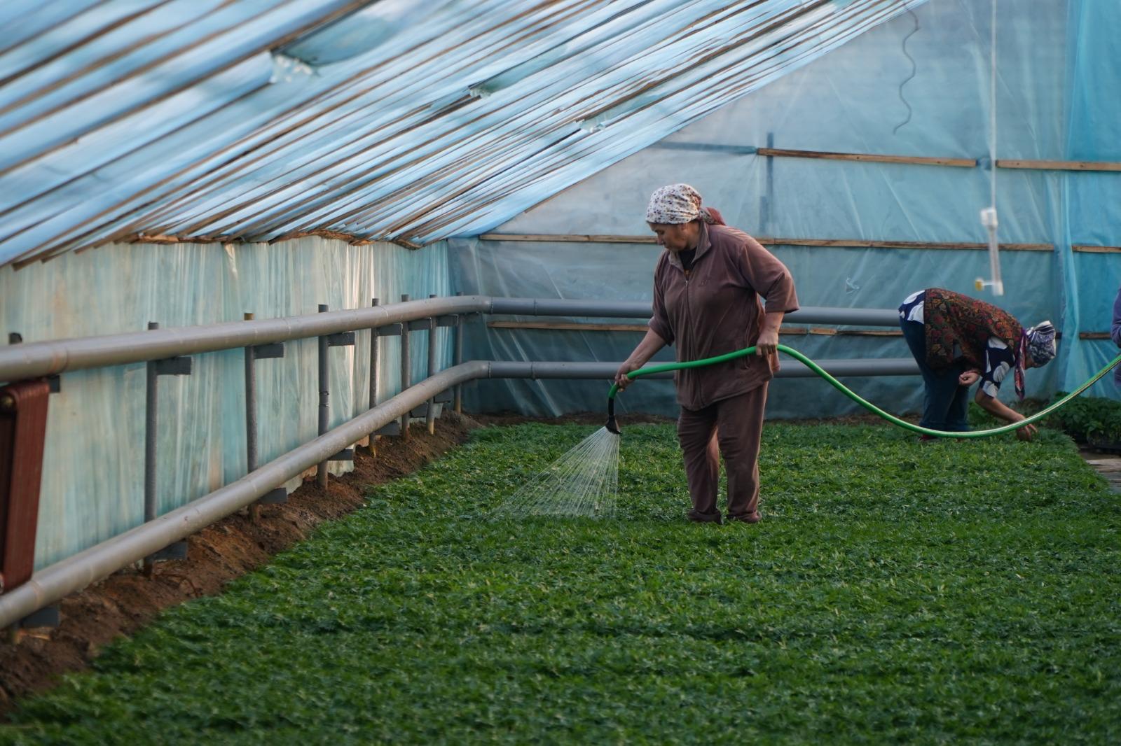 Аким города ознакомился с весенними работами по благоустройству проводимые учреждением «Жасыл ел-Тараз»
