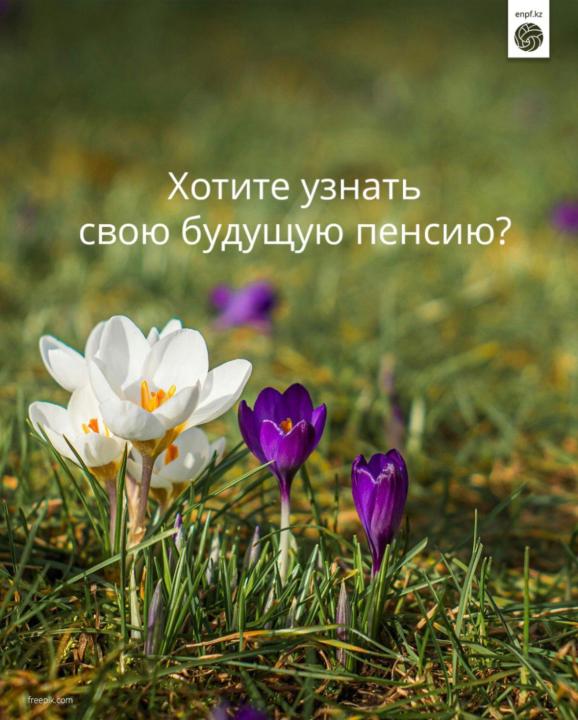 Хотите узнать свою будущую пенсию?