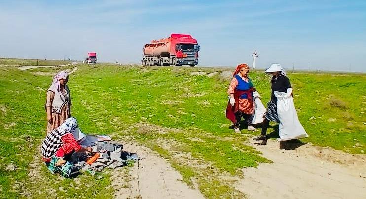 Шардара ауданына кірер үш бағыт “TazaLIKE” экофестивалі аясында жалғасын табуда