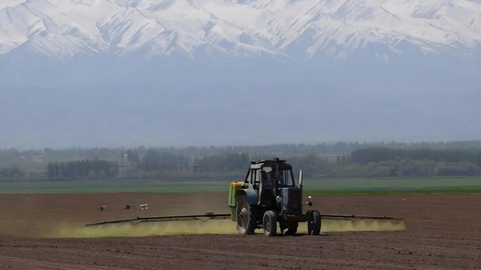 В Жамбылской области расширится аграрный сектор и посевные площади достигнут 665,4 тыс га