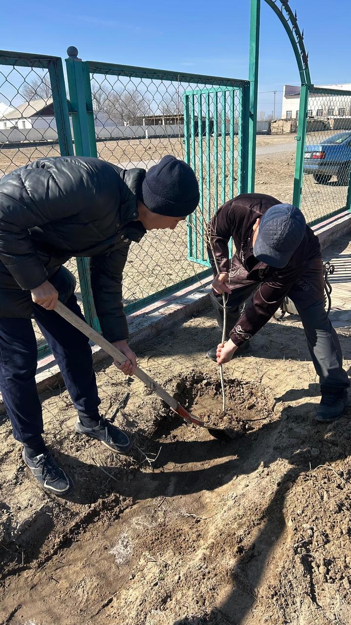 🌿 День посадки деревьев 🌿
