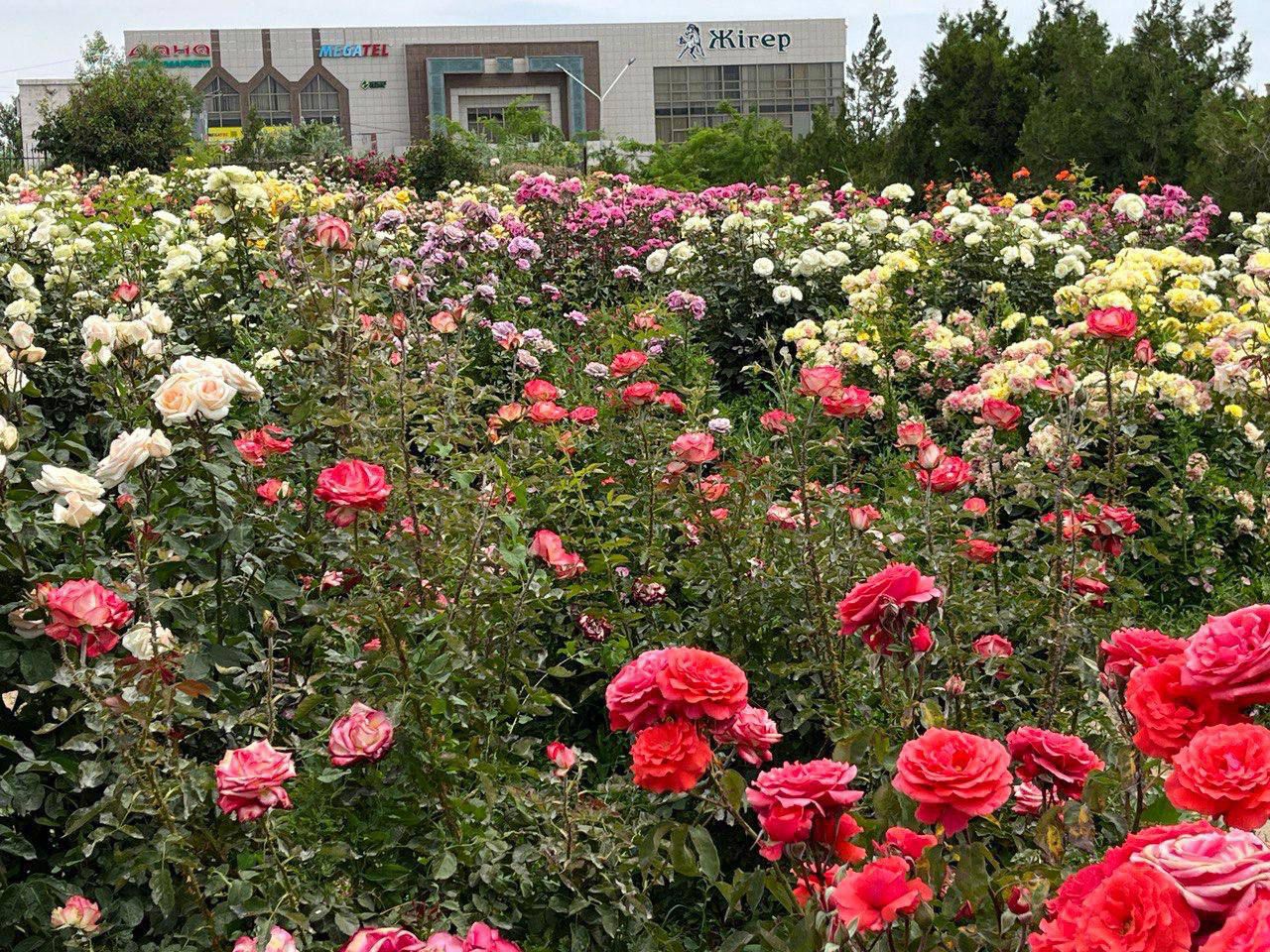 19 марта – День обновления,