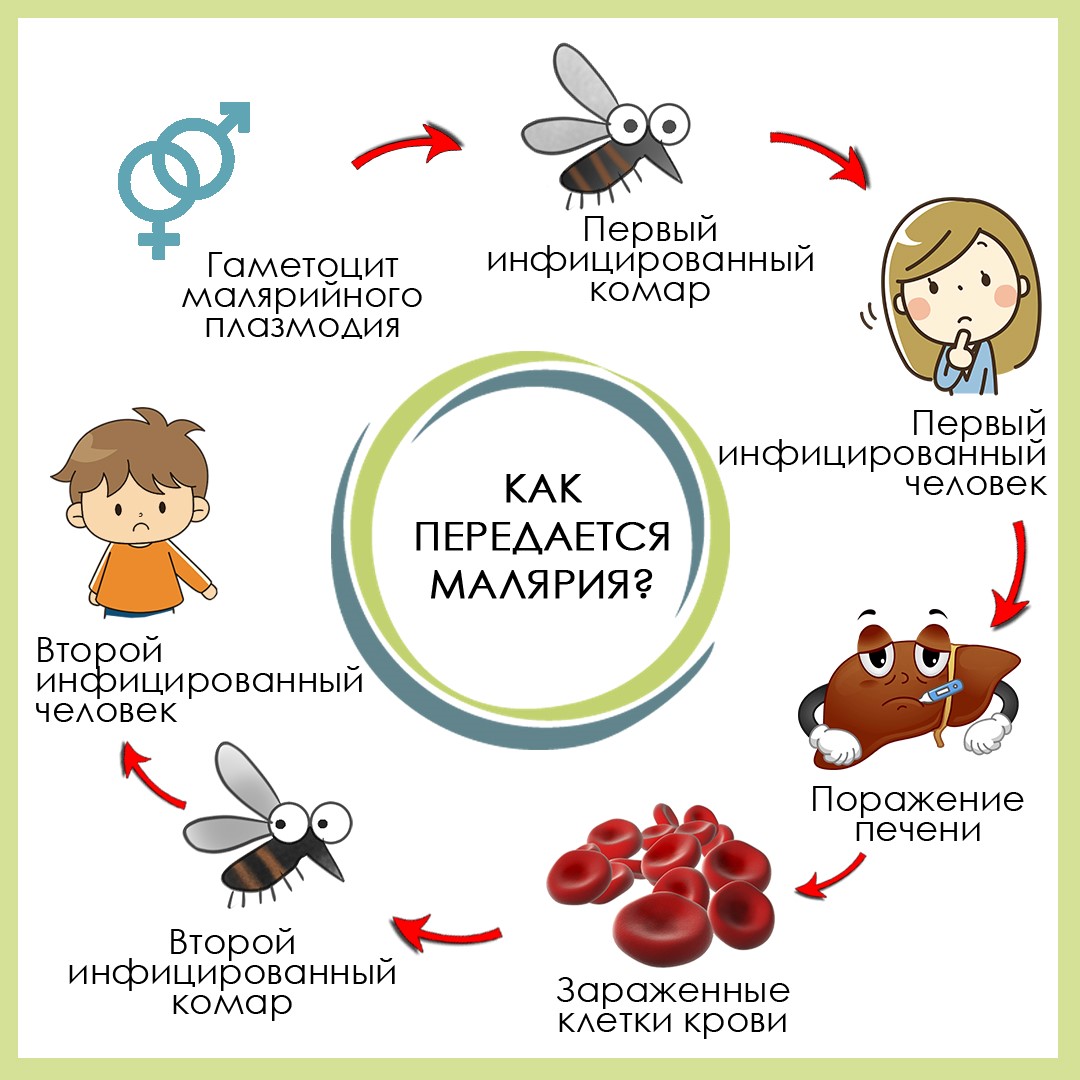 Об усилении профилактических мероприятий по малярии