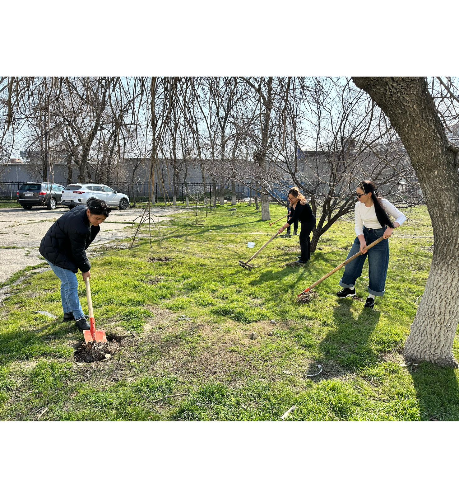 В южных и западных регионах Казахстана прошла экологическая акция «Тазару күні»
