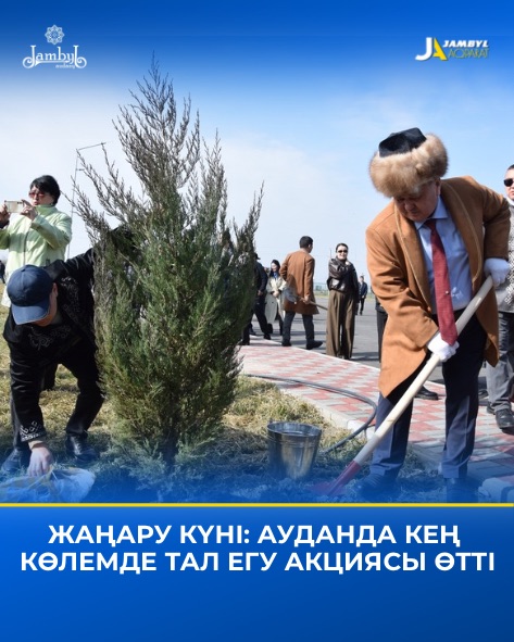 Состоялась акция по посадке деревьев