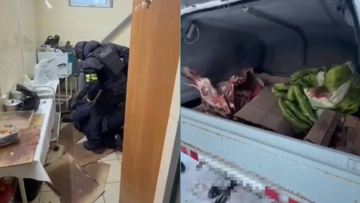 Похитил лошадей и обменял на авто: в ЗКО задержан скотокрад