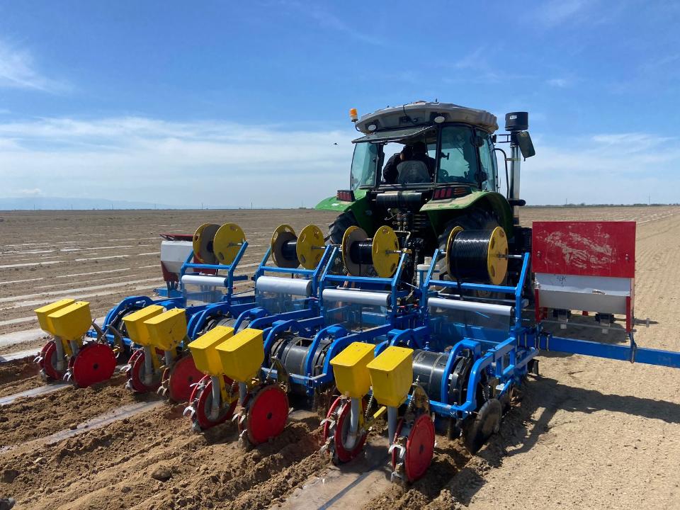 Посевная площадь в Жетісу превысит 511 тысяч га в 2026 году