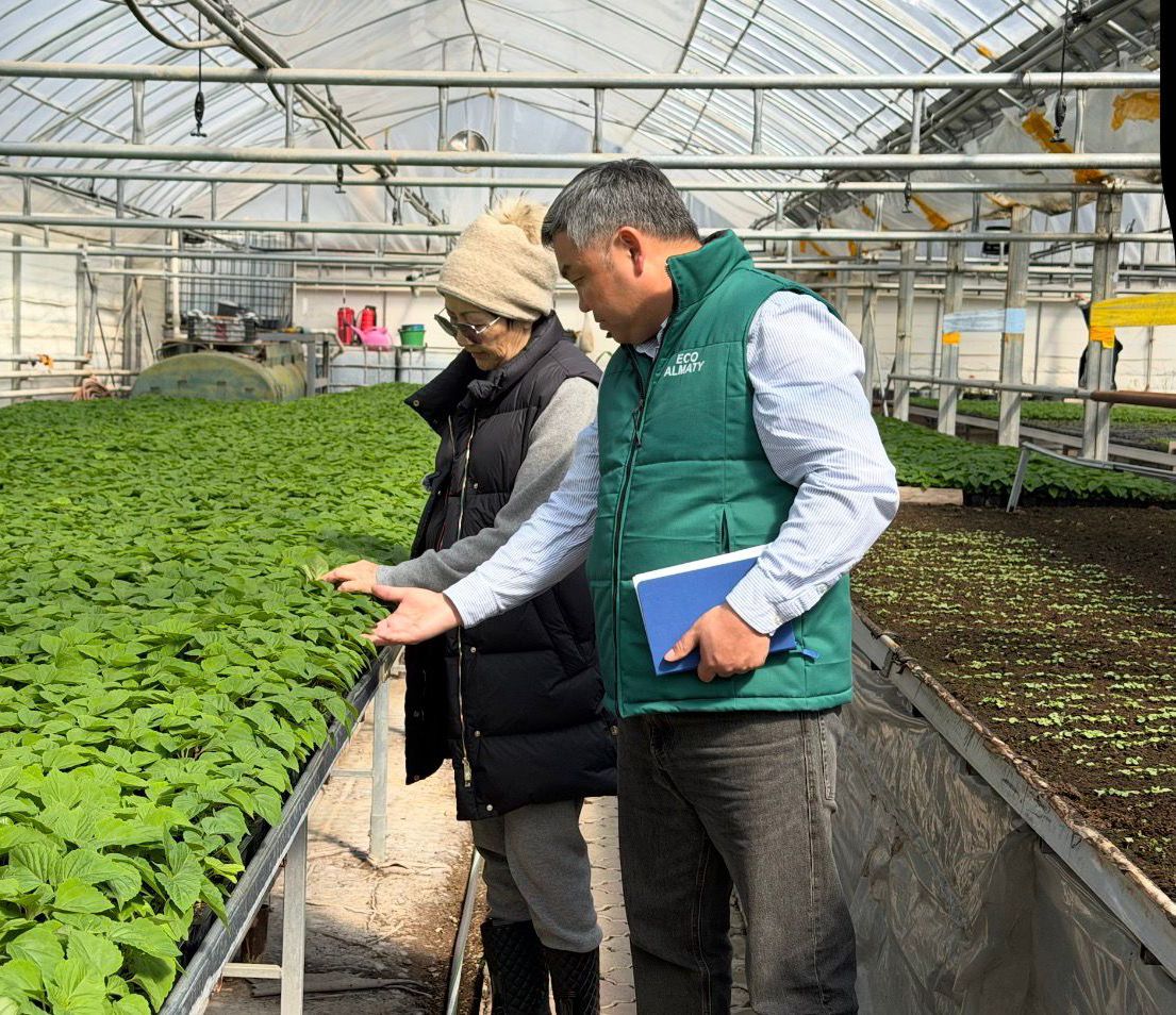 В Алматы цветы украсят более 380 тыс. кв. метров городских территорий