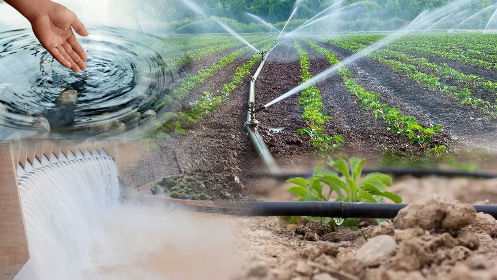 Честный труд — путь к почёту