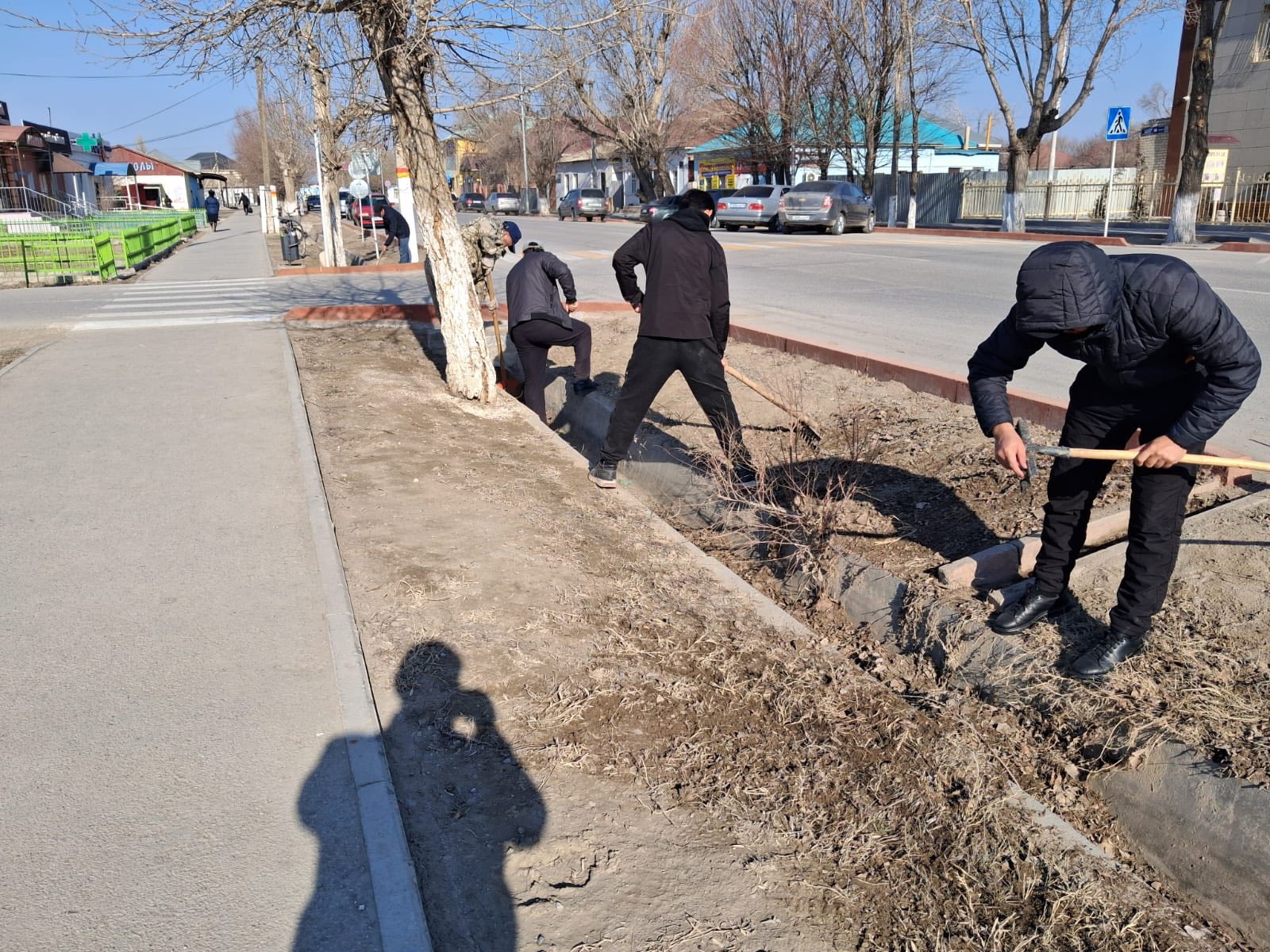 Проведены субботники
