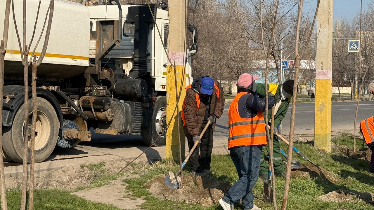 В Таразе празднование Наурыза началось с посадки деревьев