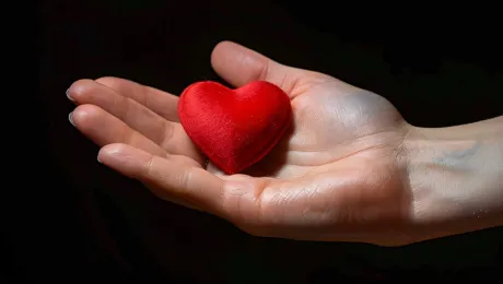 «День благотворительности»