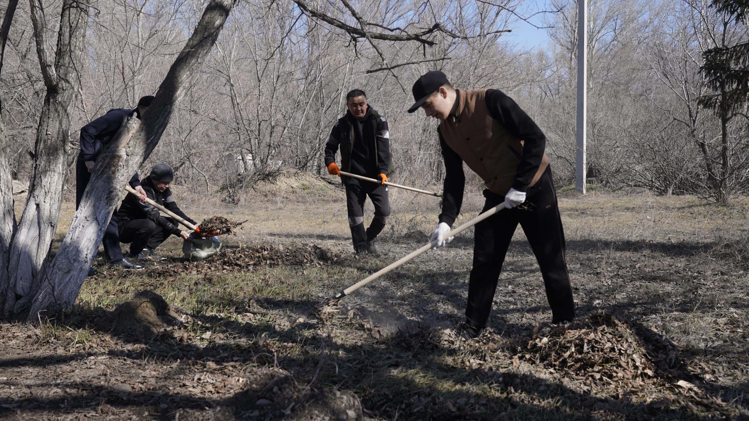 В области Абай проходит масштабная общерегиональная экологическая акция