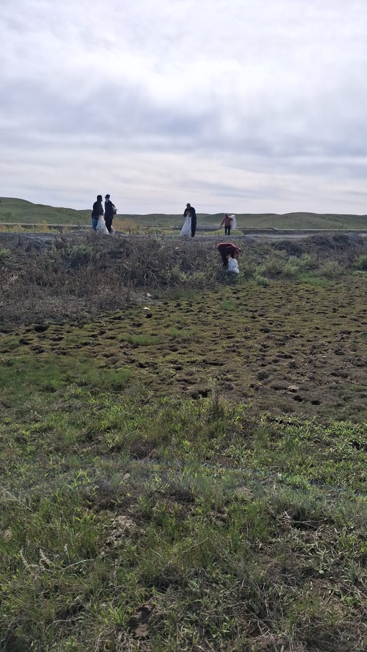 Субботники