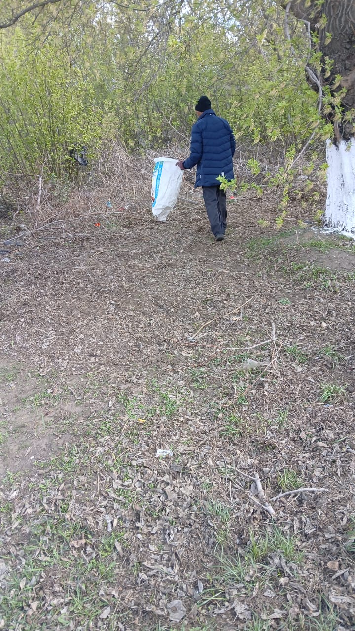 День чистоты