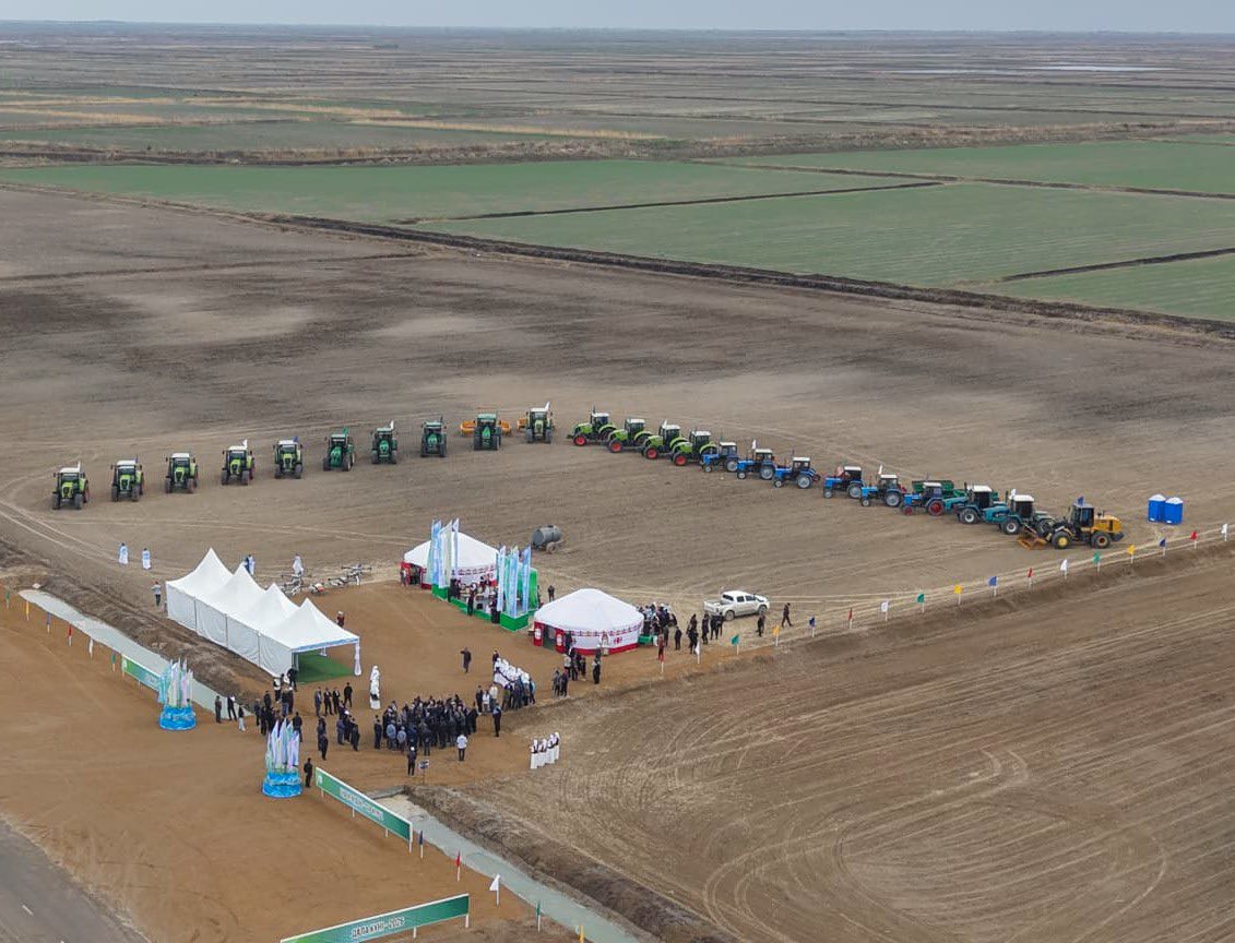 В СЫРСКОМ РЕГИОНЕ ПОСЕЯНО ПЕРВОЕ ЗЕРНО