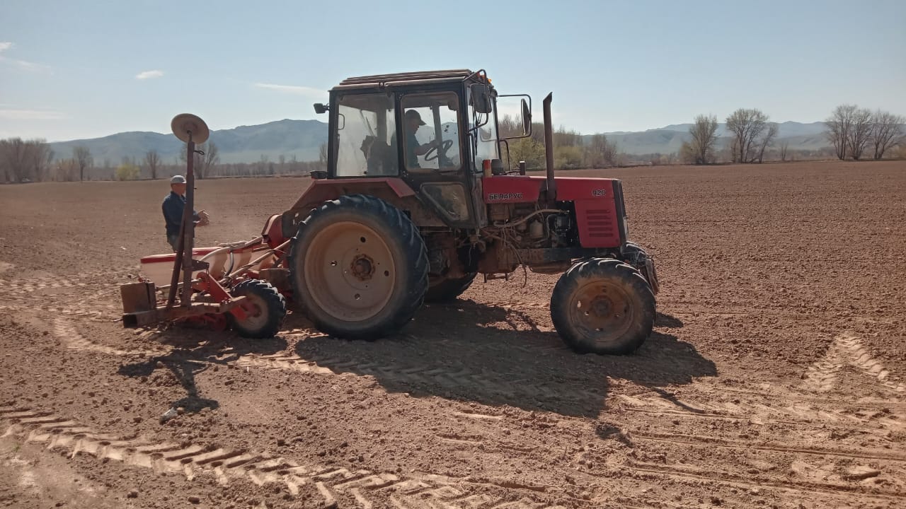 В Жарлыозекском сельском округе проводится посев сахарной свеклы 🌱