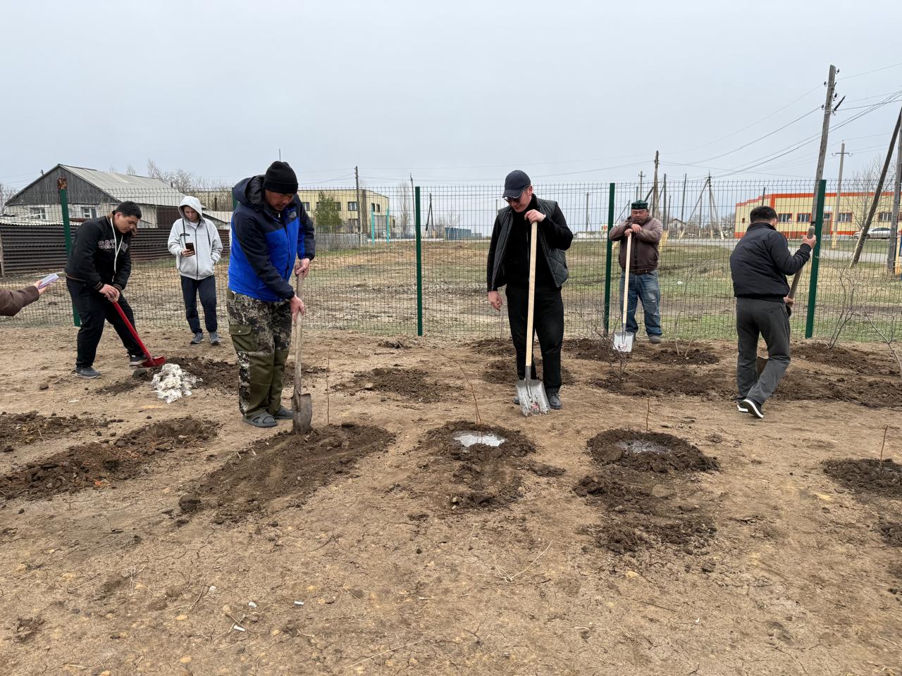 Работы по озеленению территории в селе Первомайское проводились совместно.