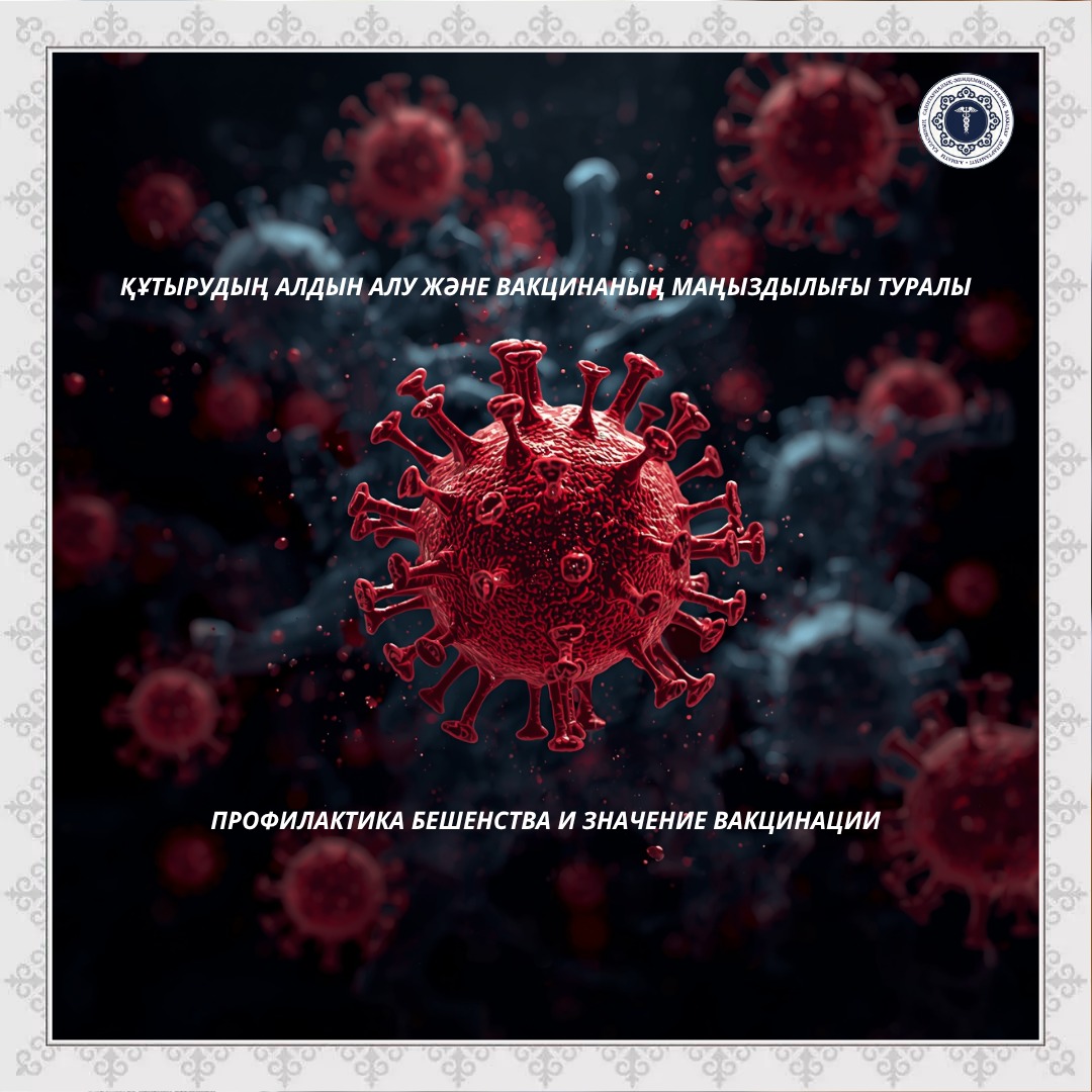 Профилактика бешенства и значение вакцинации