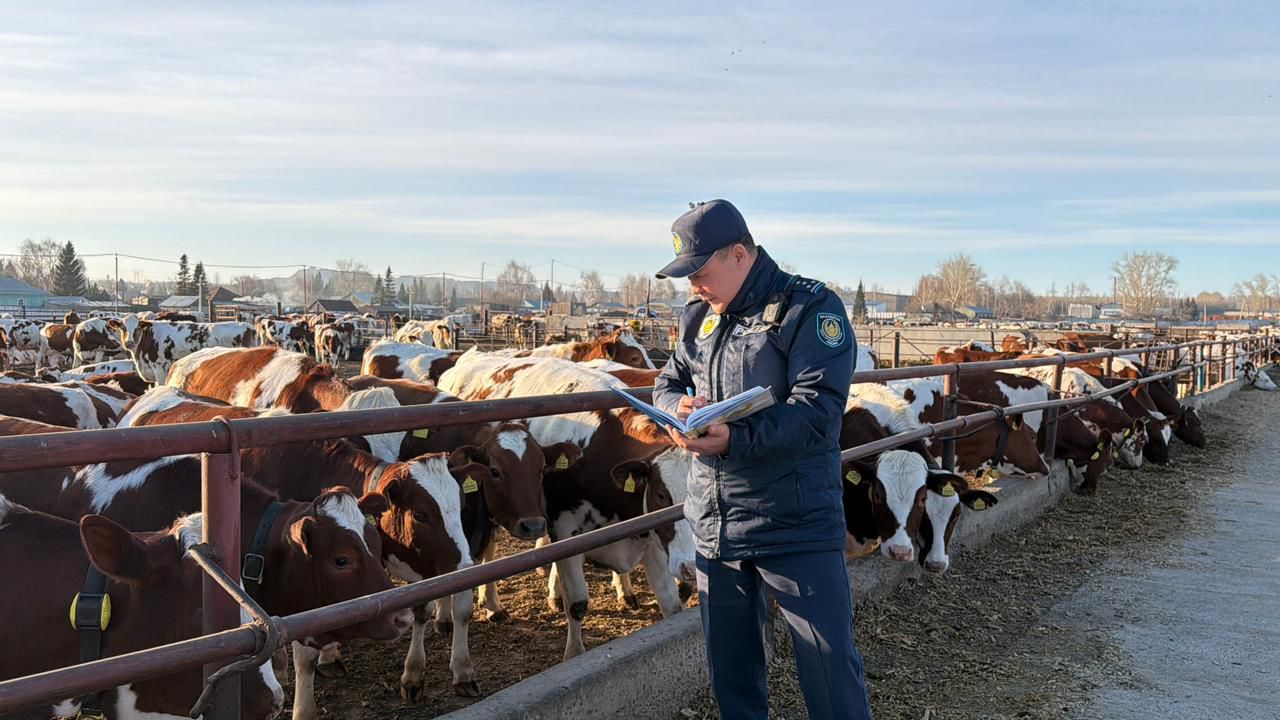 Более 1400 обходов: в ВКО подвели итоги ОПМ «Мал ұрлығына жол жоқ»