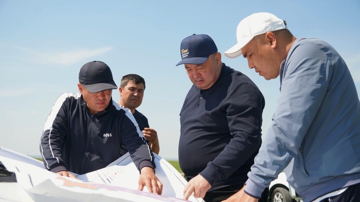 В КЕЛЕСЕ УСИЛЕНА БОРЬБА С МАРОККАНСКОЙ САРАНЧОЙ