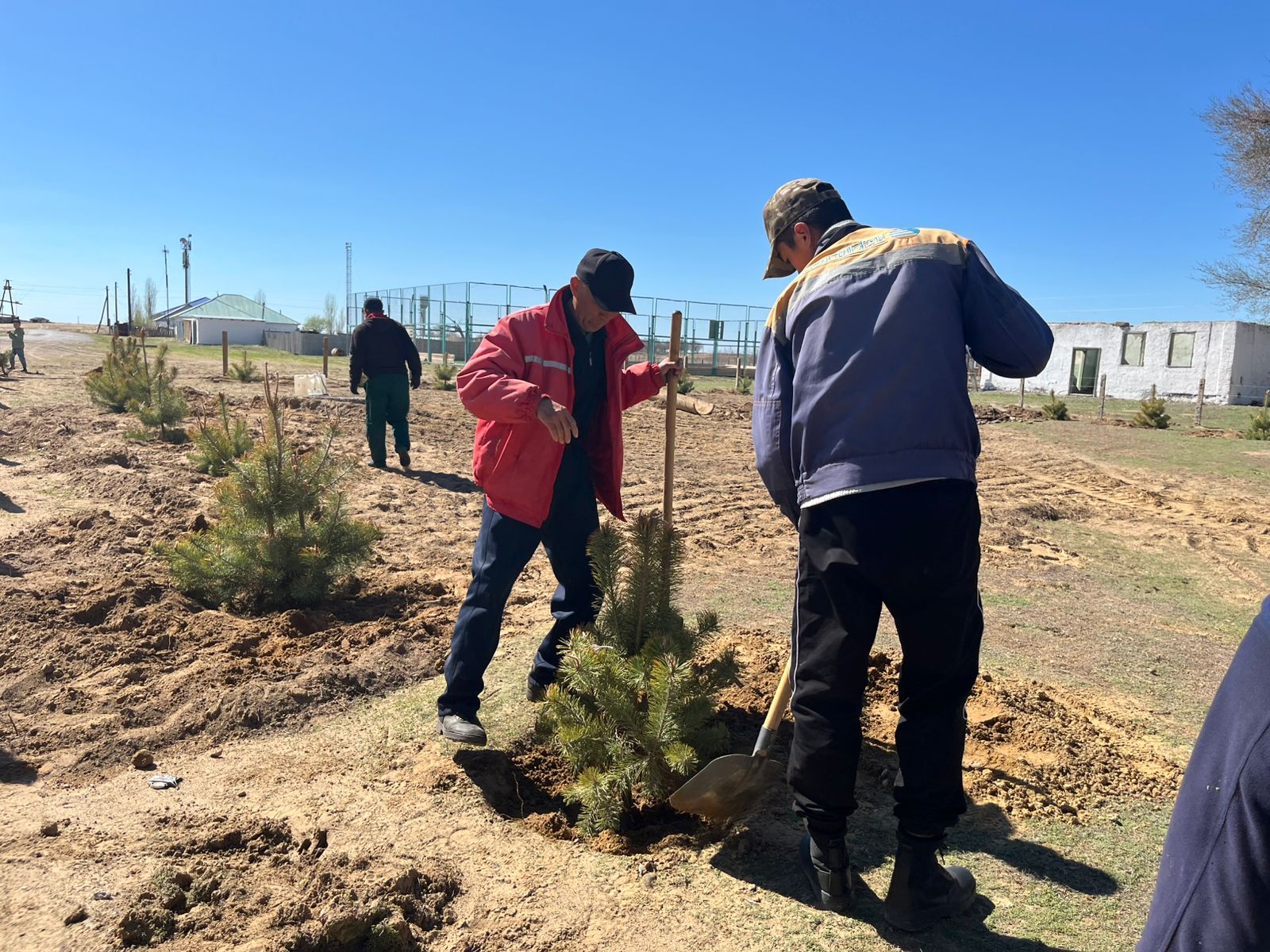 Участие выпускников