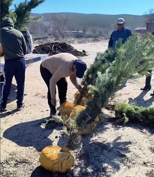В рамках экологической акции” Таза Қазақстан ” продолжаются работы по благоустройству