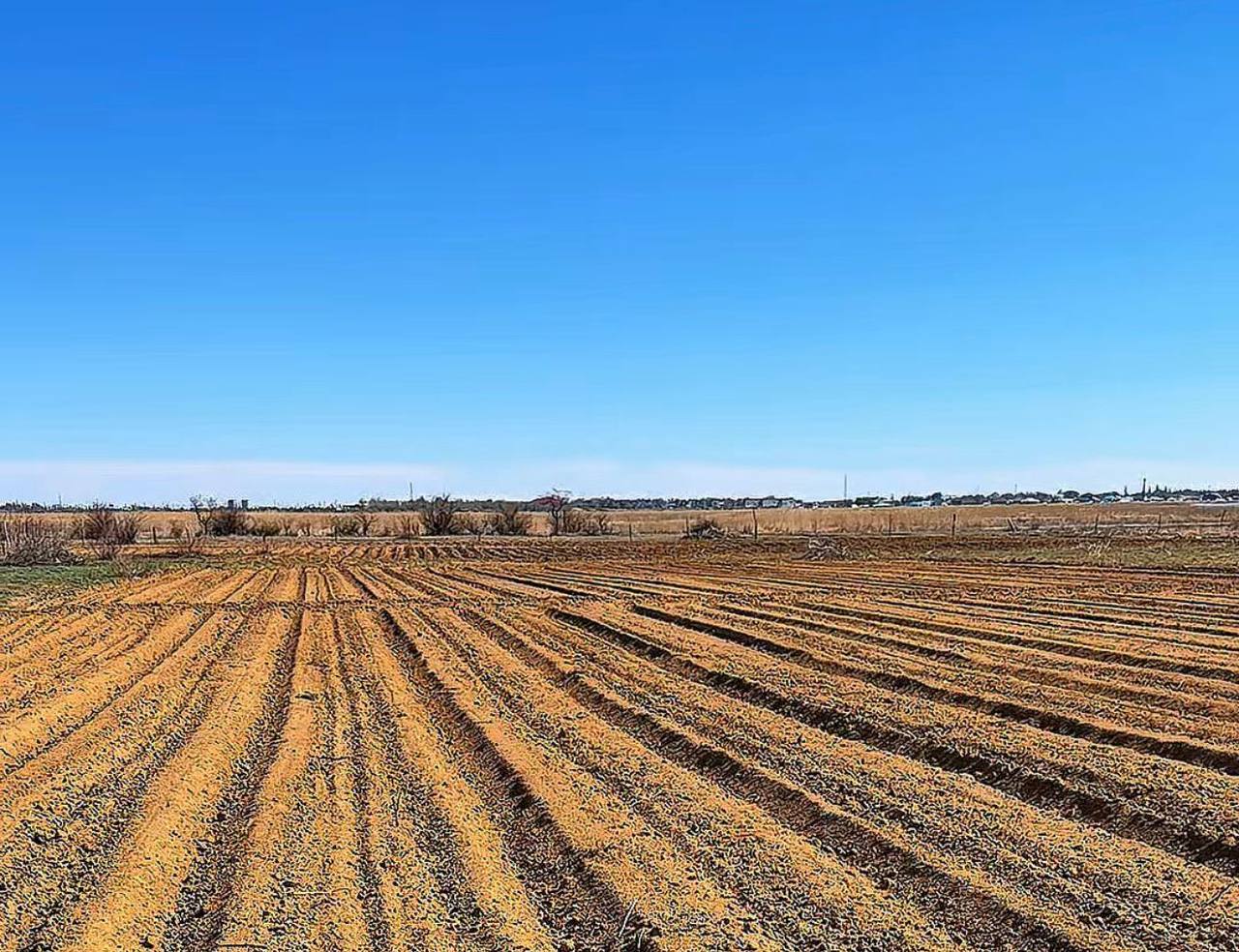 В Шалкарском районе набирают темпы весенне-полевые работы