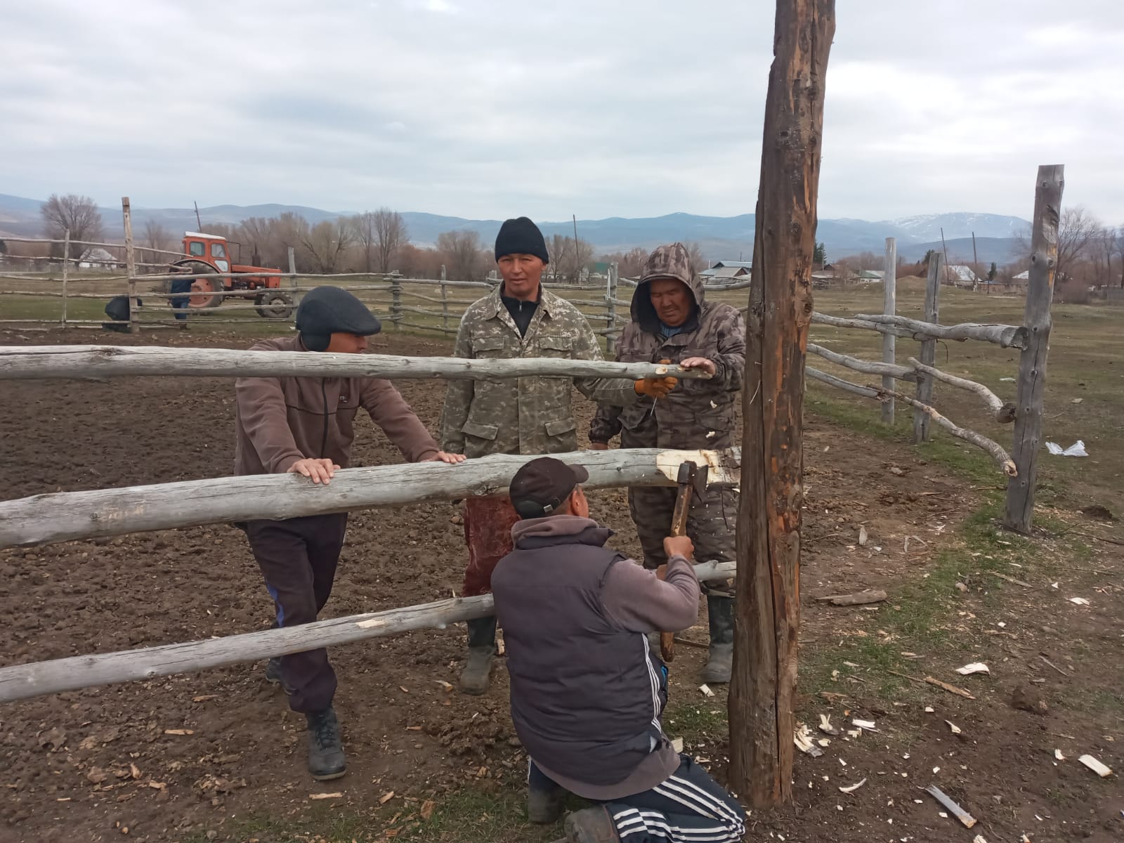 Ремонтные работы на площадке для вакцинации сельскохозяйственных животных