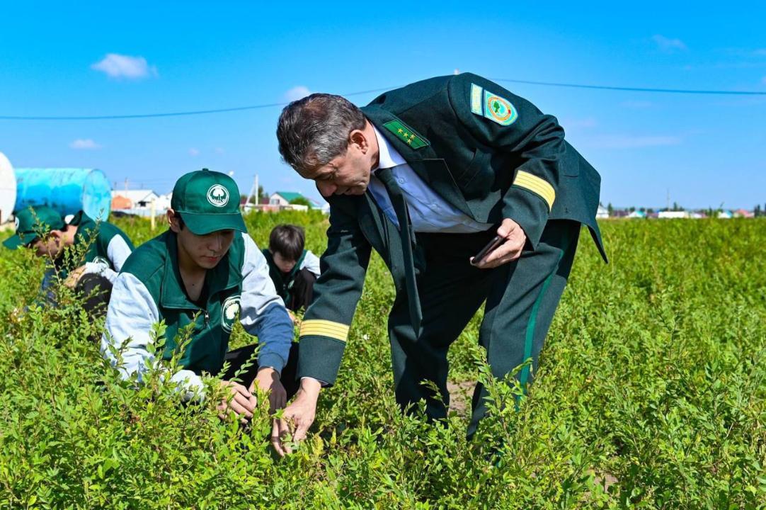 В трудовой отряд «Жасыл ел» в этом году планируется трудоустроить порядка 3 200 человек
