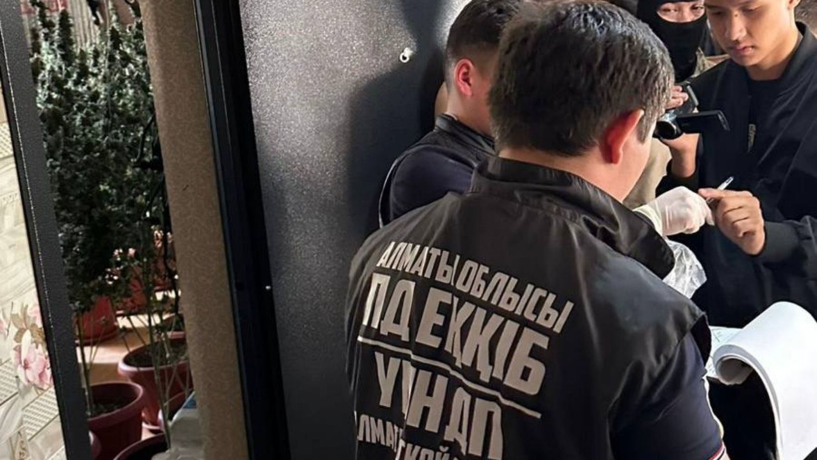 Полицейскими пресечена незаконная культивация наркосодержащих растений в Алматинской области
