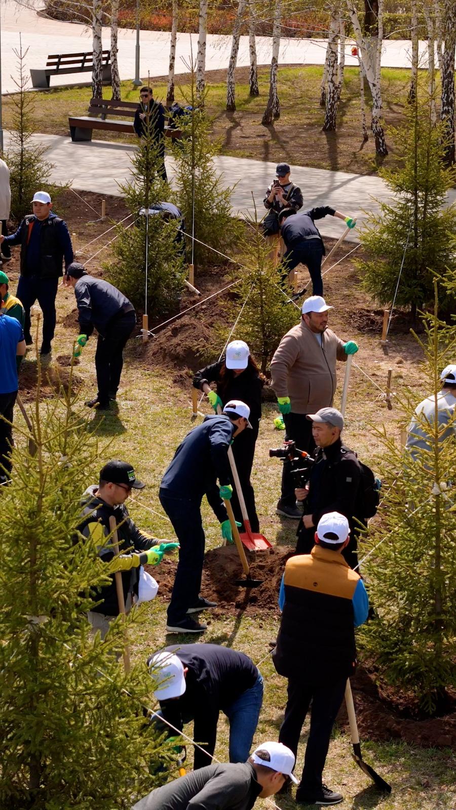 Около 300 деревьев высадили столичные жители в парке «Ататюрк»