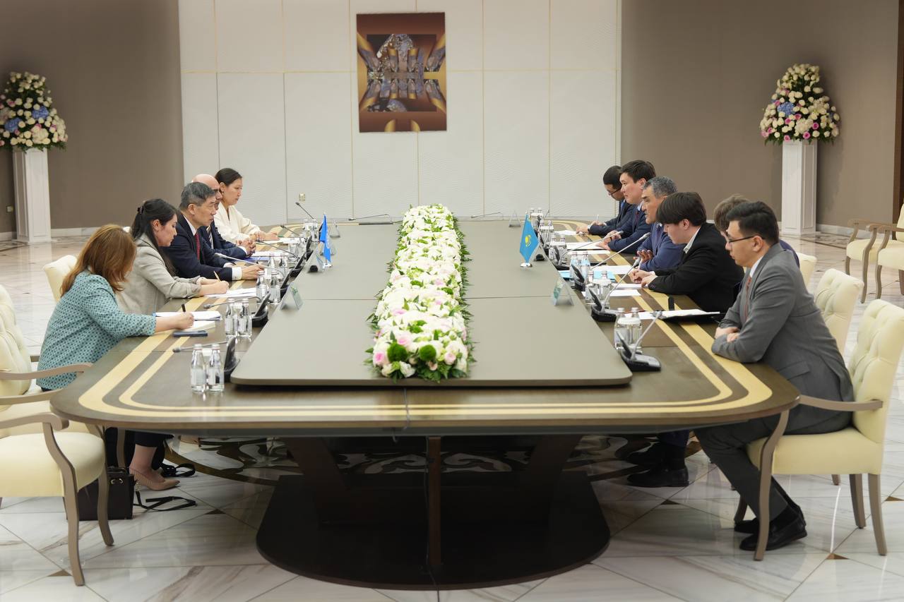 Казахстан и Программа развития ООН обсудили создание Международной организации по воде