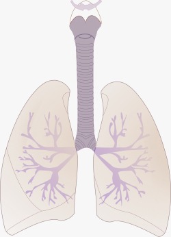 Хроническая обструктивная болезнь лёгких (ХОБЛ)