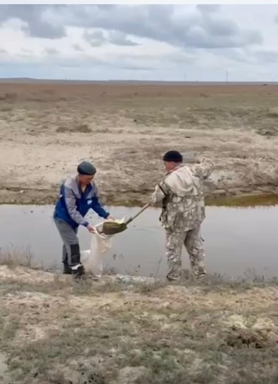 Экологическое мероприятие «Мөлдір бұлақ»