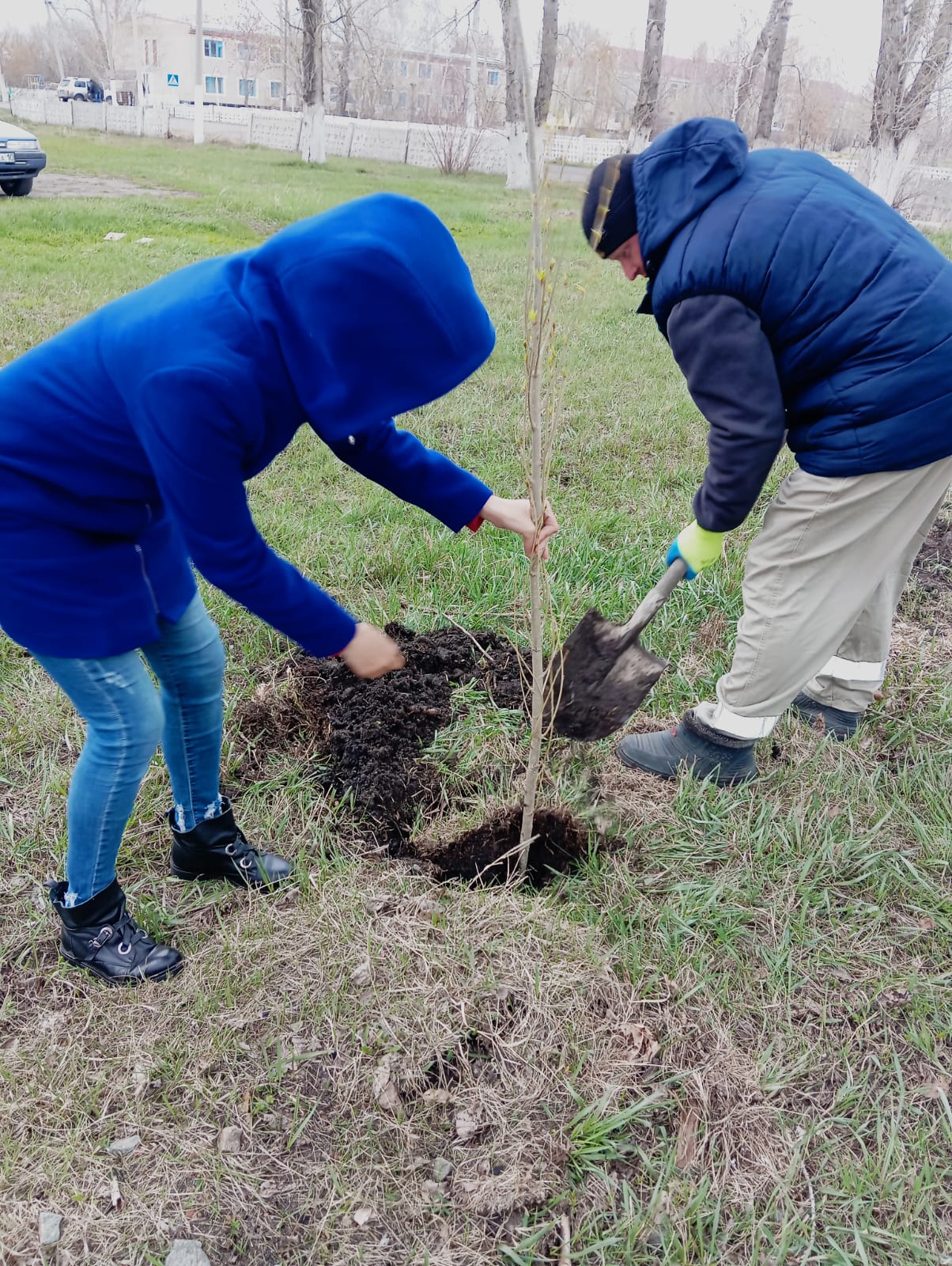 25 апреля в селе Костряковка в рамках экологической программы «Таза Қазақстан» была организована посадка деревьев.