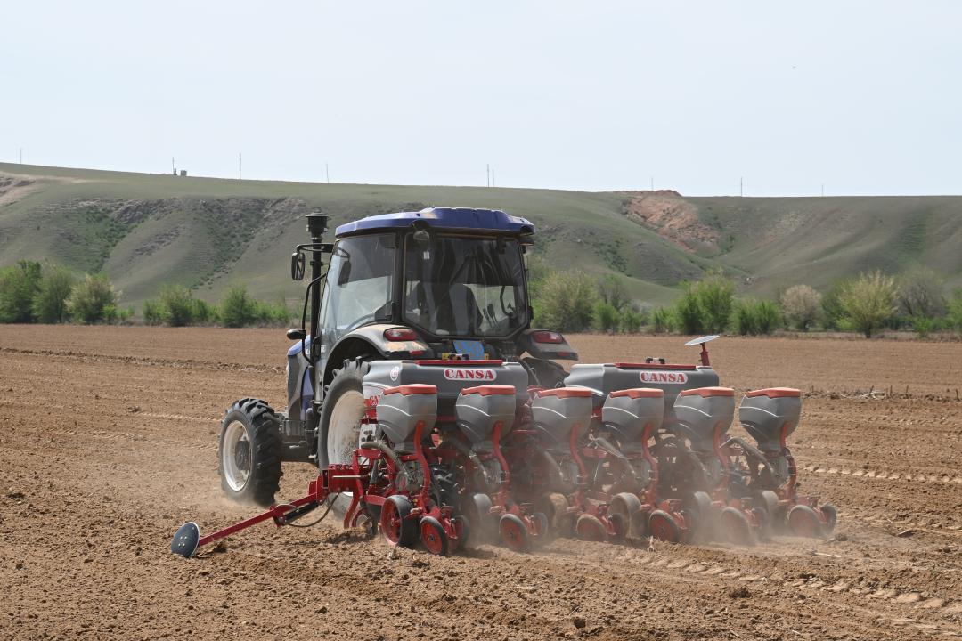 В Жетісу внедряют новые агротехнологии для повышения урожайности