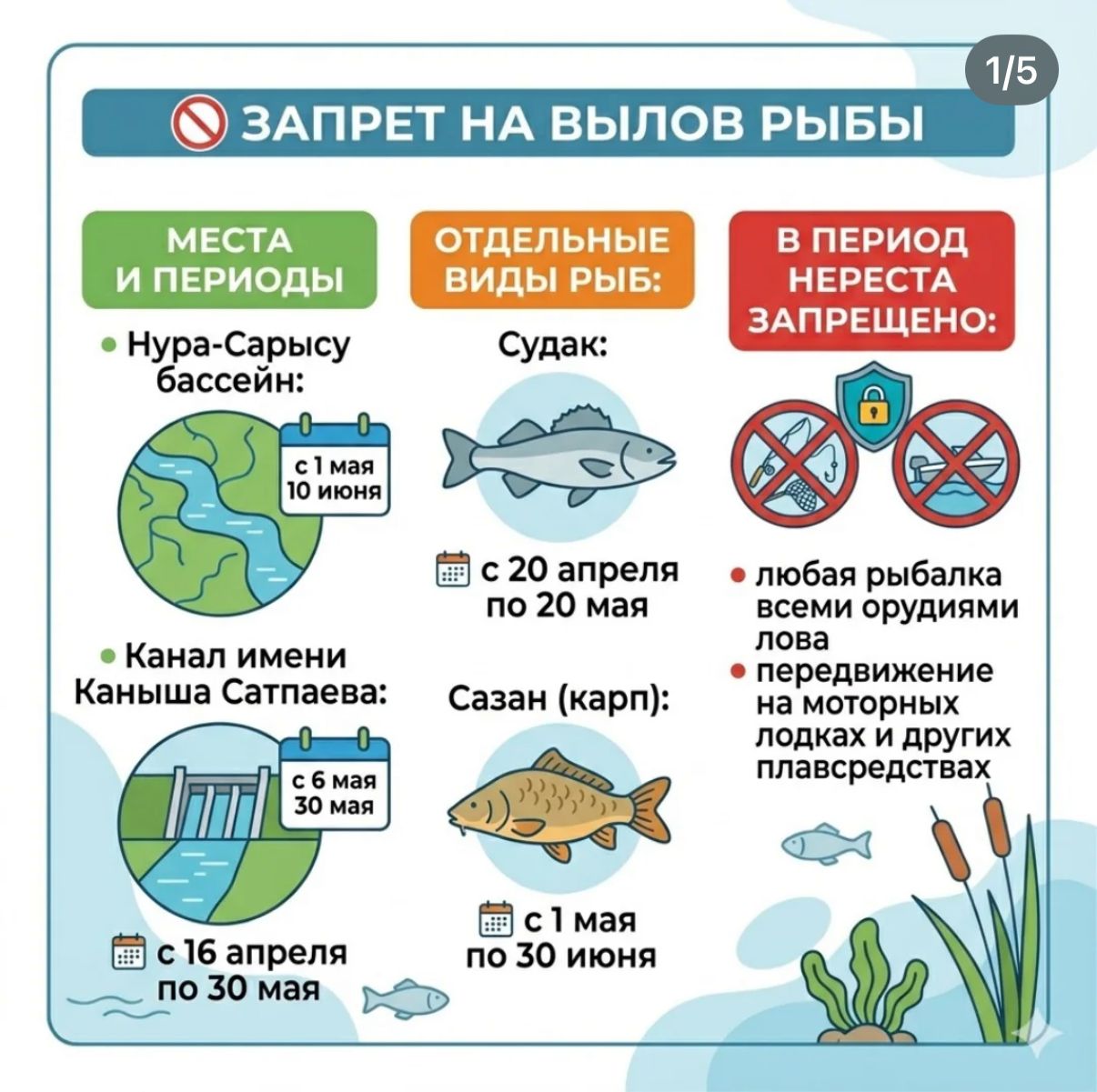 Запрет на вылов рыбы