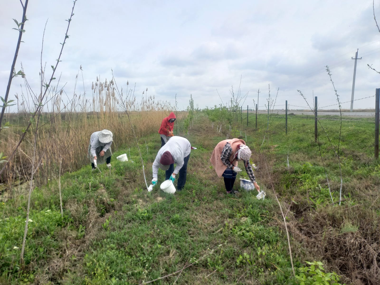 ВО ВСЁМ РАЙОНЕ ОРГАНИЗОВАН МАСШТАБНЫЙ СУББОТНИК
