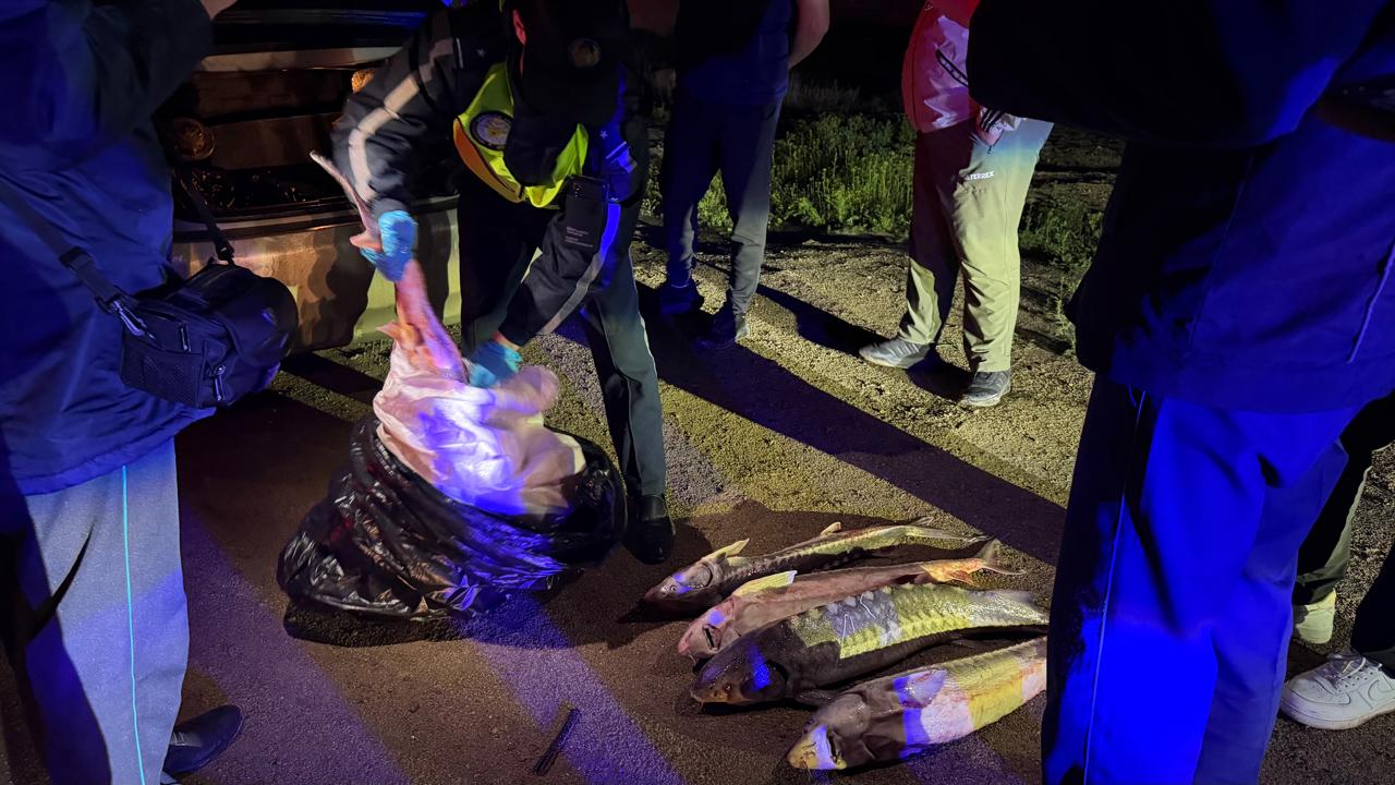 За незаконную перевозку красной рыбы задержан гражданин в Актау