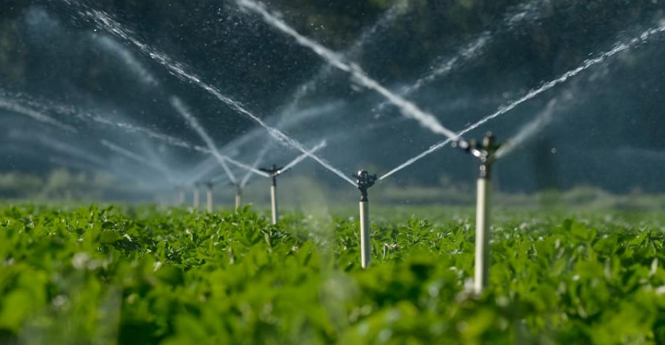 Меры по стимулированию рационального водопользования в условиях сезонного роста потребления воды