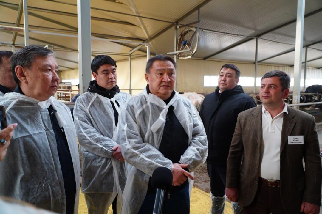 В Акмолинской области запустили современную молочную ферму на 400 голов