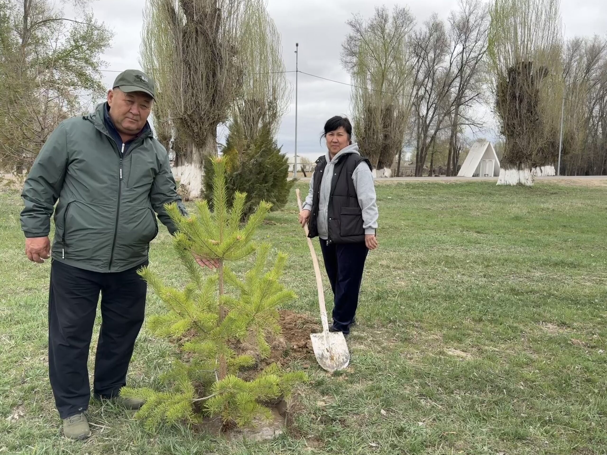 В Жарлыозекском сельском округе в рамках экологической акции «Таза Қазақстан» проведена посадка деревьев 🌿