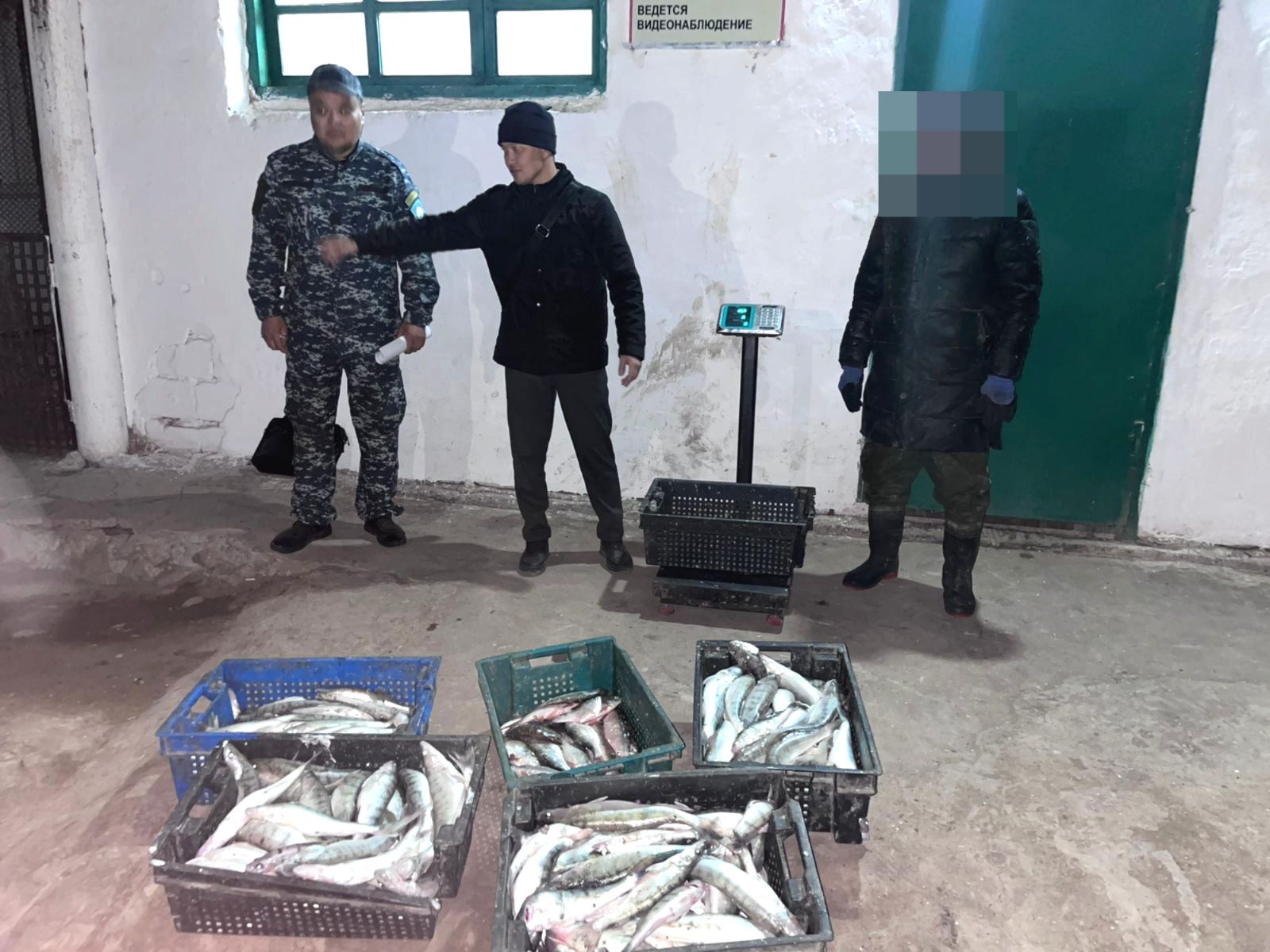 На озере Балхаш пресечена браконьерская деятельность