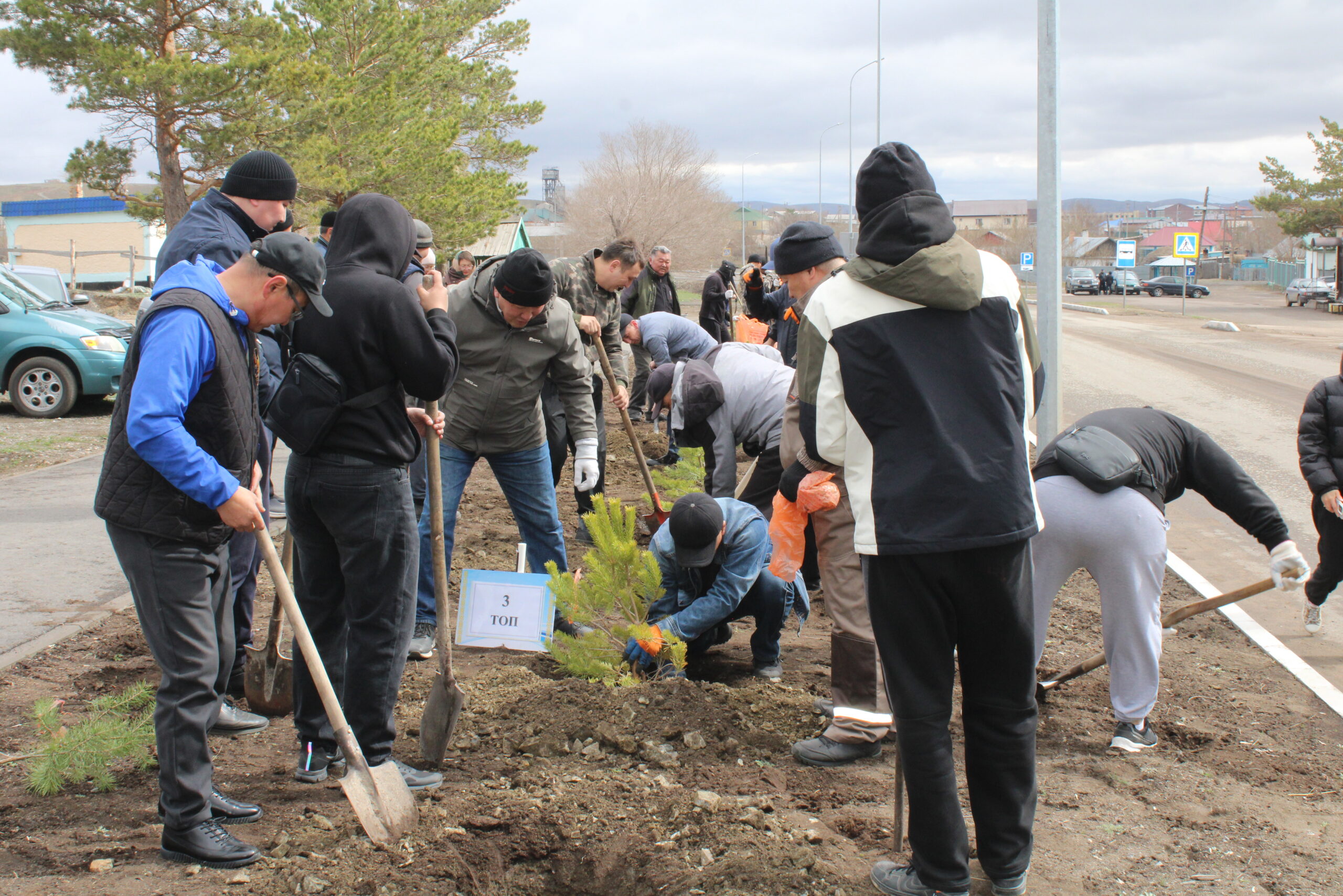 В РАМКАХ АКЦИИ «ЧИСТЫЙ КАЗАХСТАН» – 100 СОСЕН В ЧЕСТЬ НАШЕГО ГЕРОЯ!