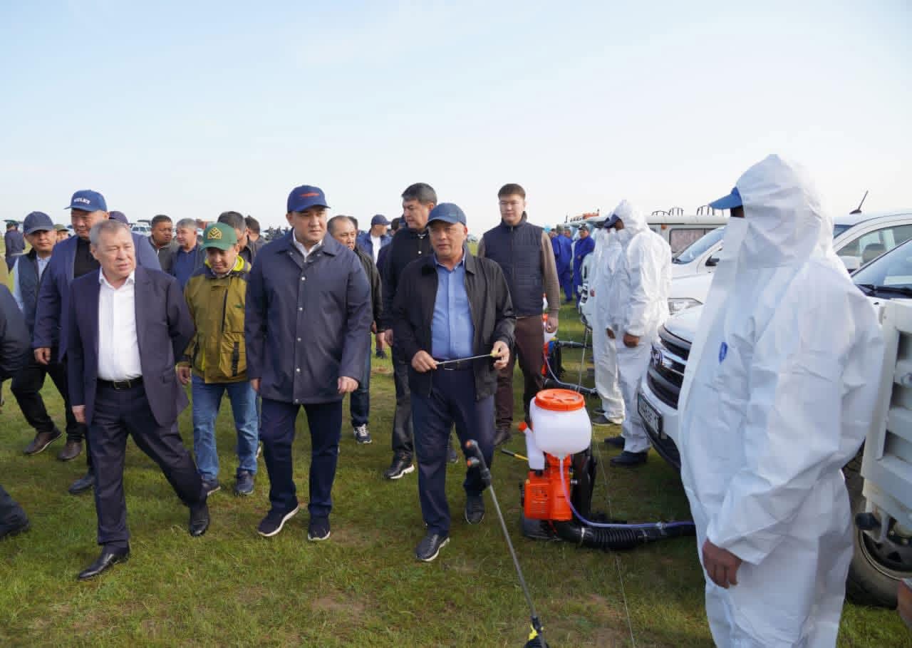 В ТУРКЕСТАНСКОЙ ОБЛАСТИ УСИЛИЛАСЬ БОРЬБА С САРАНЧОЙ