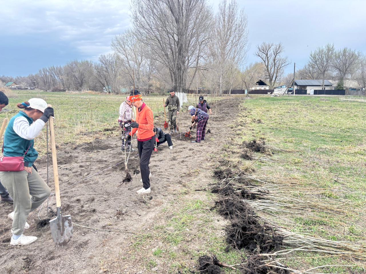 В селе Акжар Алакольского района Жетысуской области были проведены работы по посадке деревьев с целью охраны окружающей среды и озеленения населённого пункта.