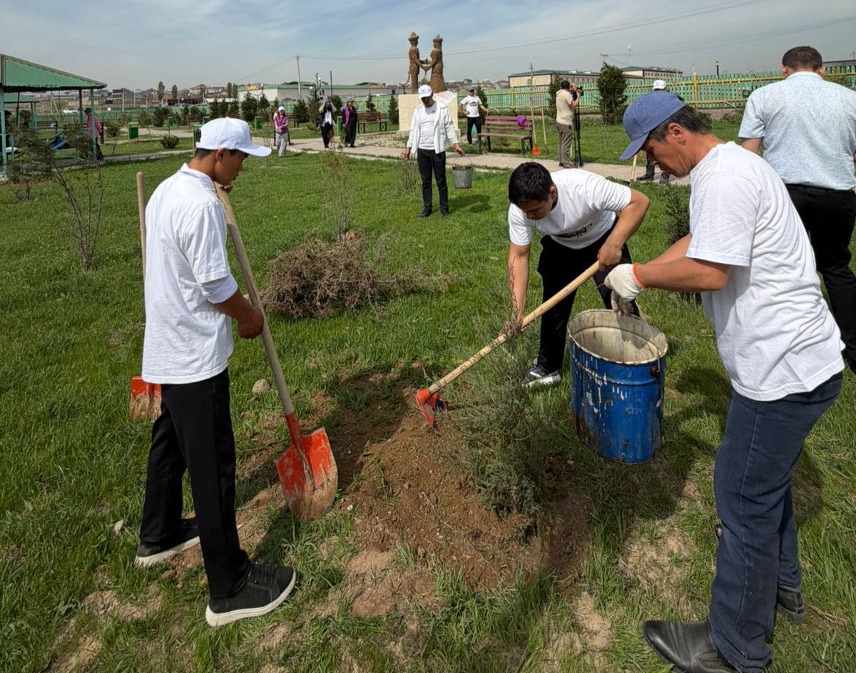 В ТУРКЕСТАНСКОЙ ОБЛАСТИ В РАМКАХ ПРОЕКТА “ТАЗА ҚАЗАҚСТАН” ПРОВЕДЕНЫ РАБОТЫ ПО ОЗЕЛЕНЕНИЮ