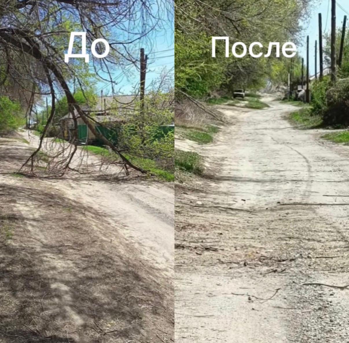 В городе Уштобе по переулку Жолбарыс батыр упавшая ветка была убрана